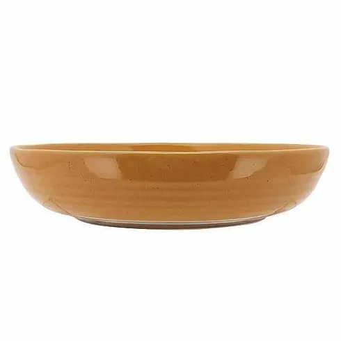 Food Network Farmstead Dinner Bowl<Food Network™ Hot
